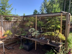 Resident garden with potted plants and benches.