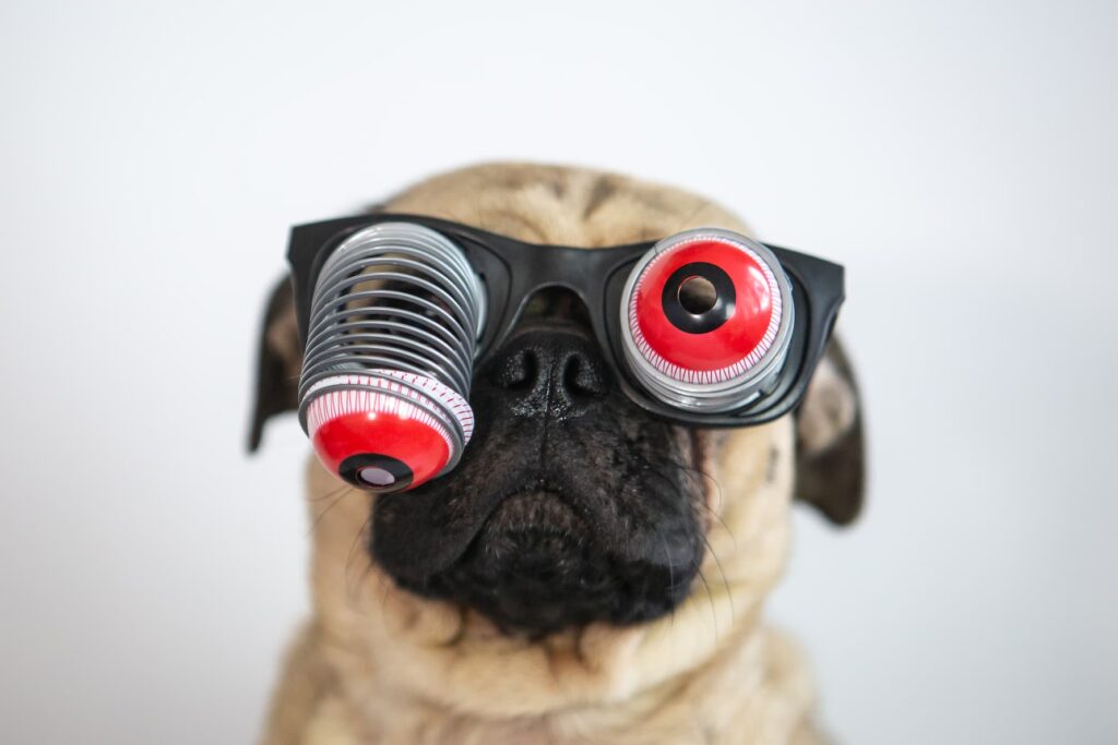 A pug wearing oversized, goofy novelty goggles with red-tinted lenses.